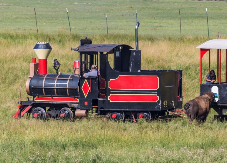 Ranch Train that allows tourists to feed the animals